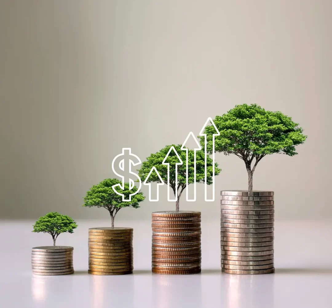 NEXYS CONSULTING SARL pour la croissance des entreprises